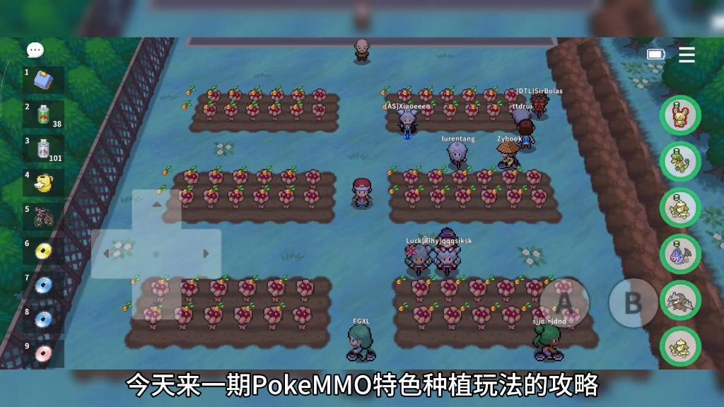 PokeMMO的PP果怎么种？配方种子和二十小时生长周期详解
