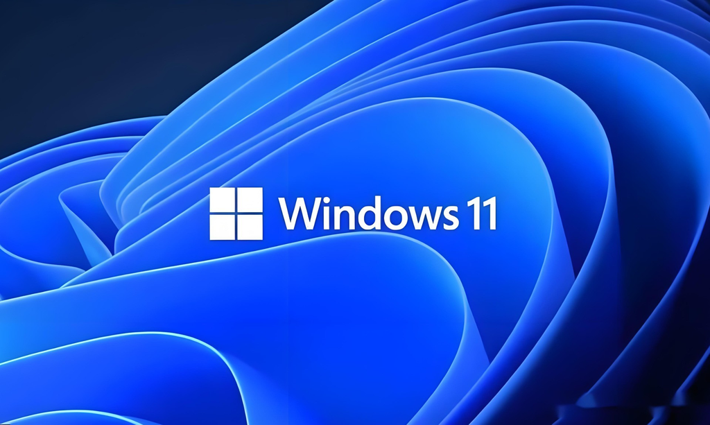 Win11激活提示无法连接到组织服务器怎么办
