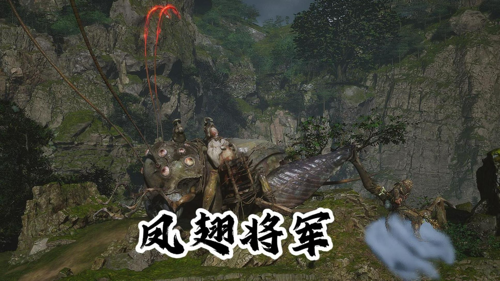 凤翅将军