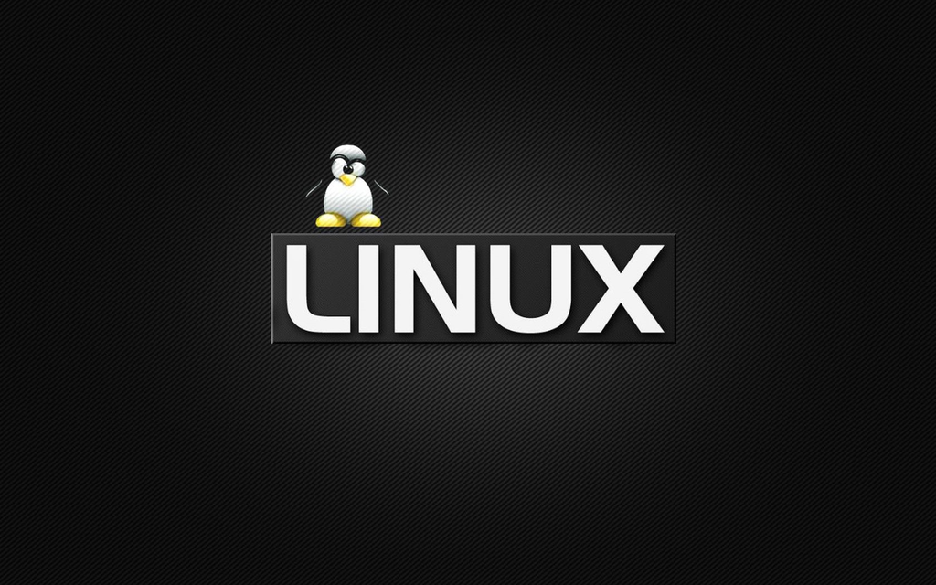 Linux递归修改权限怎么操作：老手实测chmod -R与find分类型处理