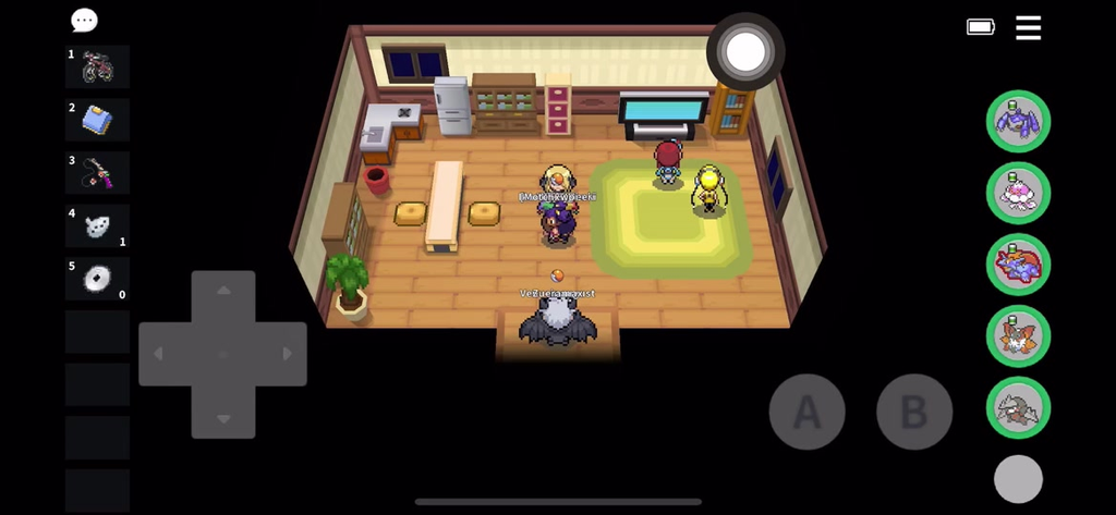 PokeMMO遗迹迷隧道怎么去